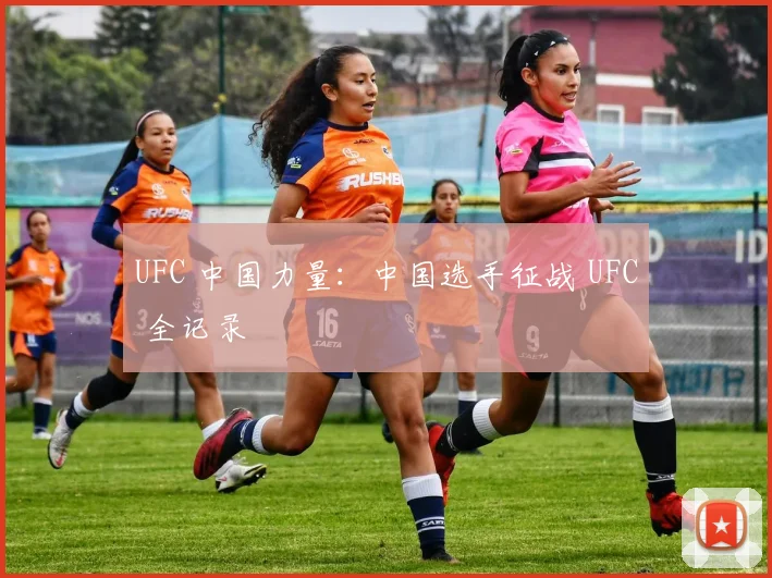 UFC 中国力量:中国选手征战 UFC 全记录